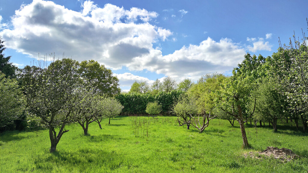 Streuobstwiese_2000px