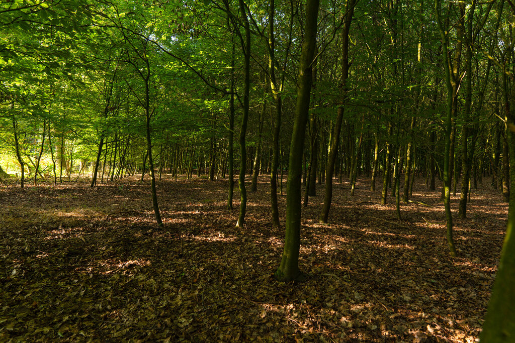 Wald-und-Garten-5